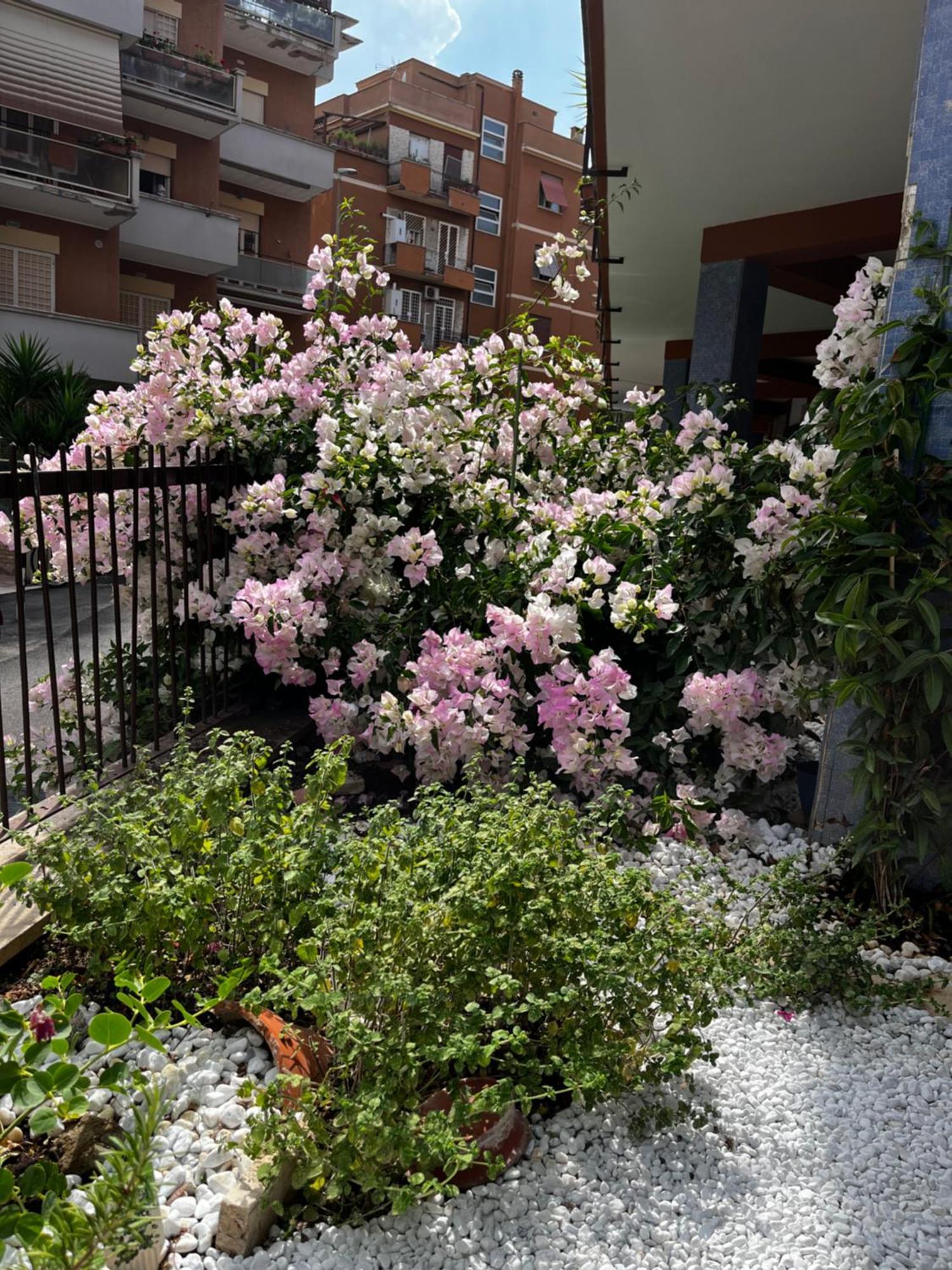 Casetta Romana Buitenkant foto